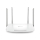 Router TP-Link Aginet EC220-G5 (1200Mb/s a/b/g/n/ac)